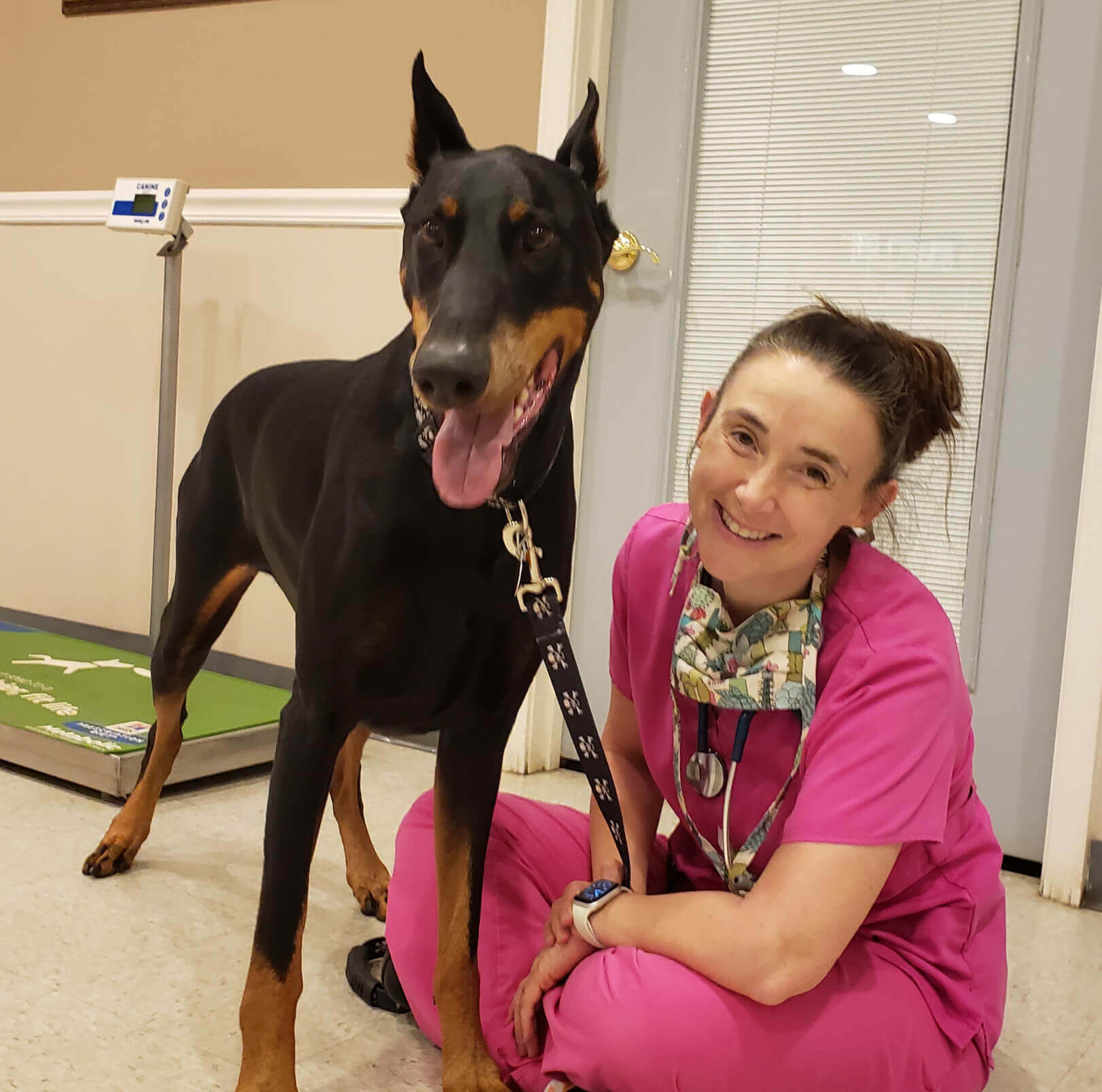 Doctor with her patient at her veterinary clinic 