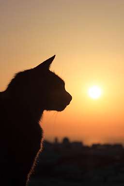 When to say goodbye