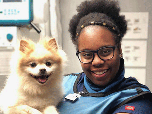 Charlotte North Carolina Dog Digital Radiology