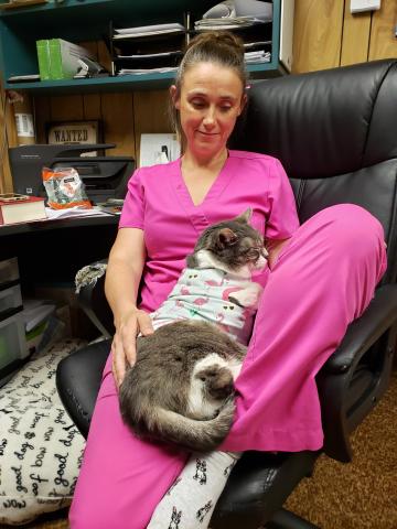 meeko_lounges_with_dr