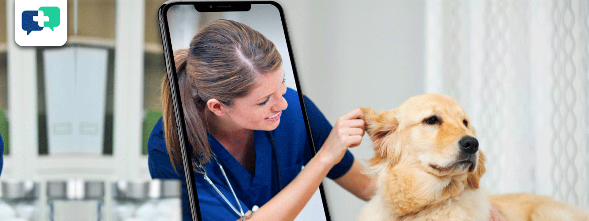 medici telemedicine compassionate care veterinary