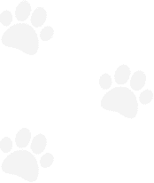 Compassionate Care Veterinary Hospital of Charlotte